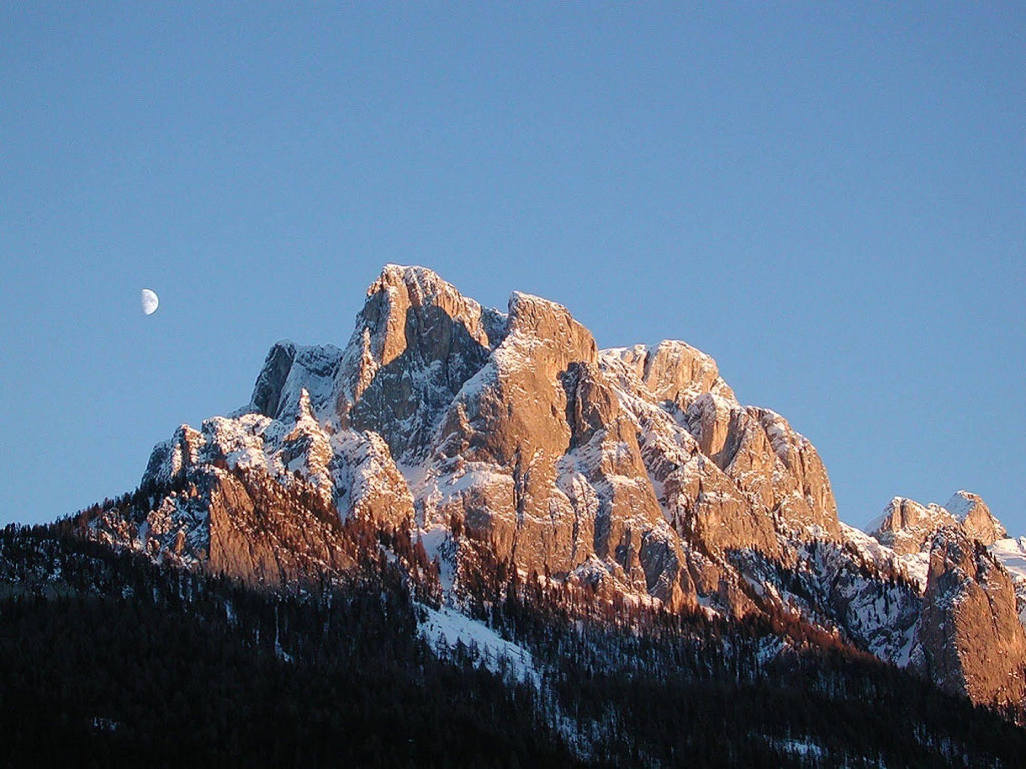 GH Hotel Monzoni Pozza di Fassa Buitenkant foto